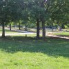 Kálvin János Park